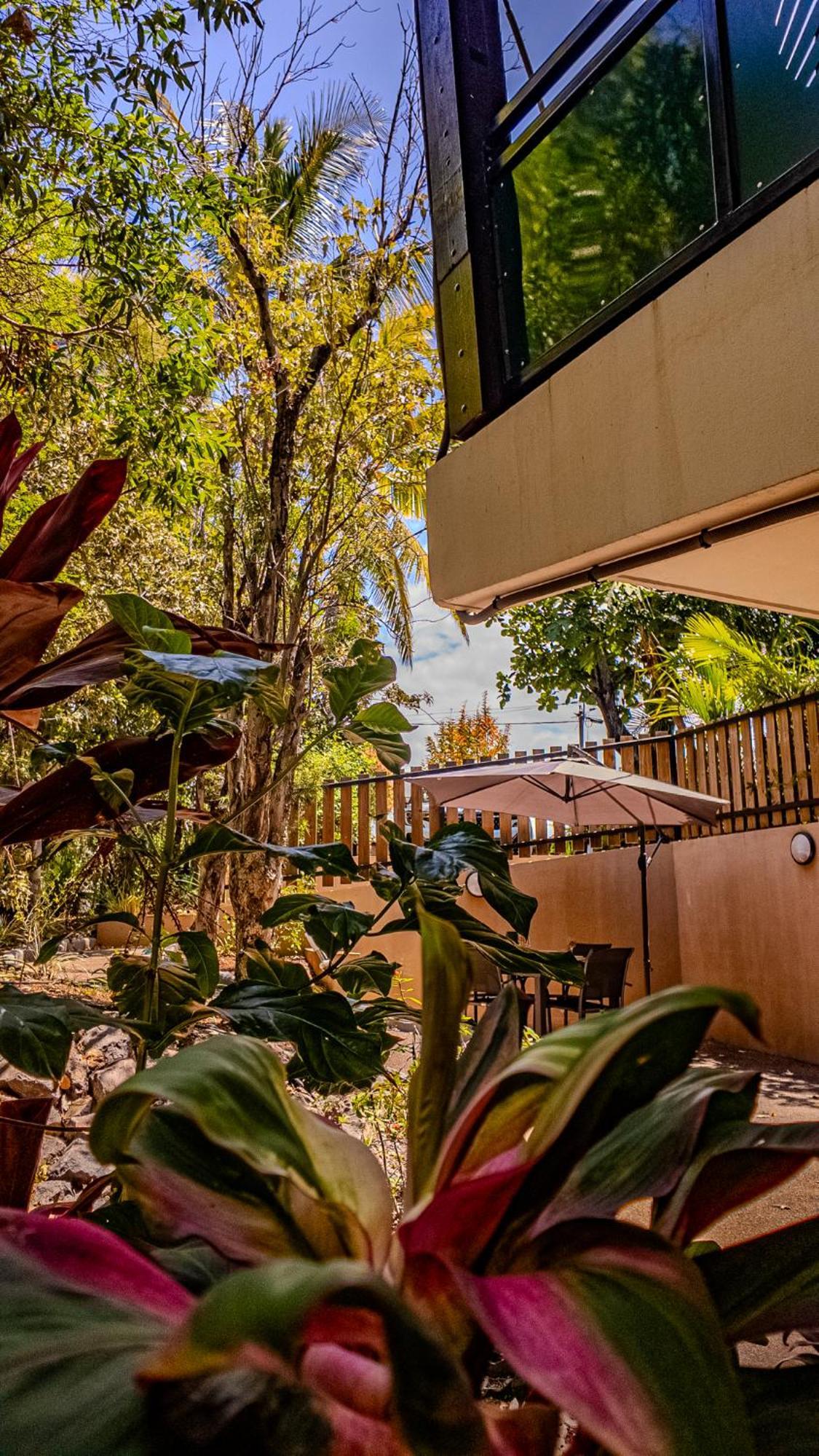 Ferienwohnung Les 3 Sables, Coco Étang-Salé les Bains Exterior foto
